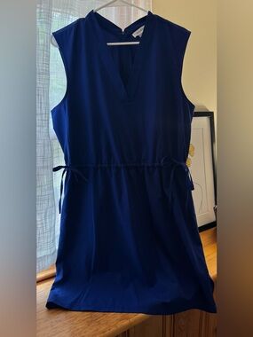 Calvin Klein Royal Blue Sleeveless Dress with V-Neck